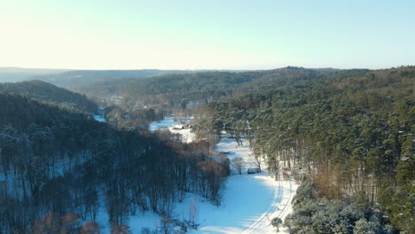 Beautiful-snowscape-landscape-with-conifer-trees-during-sunlight-and-blue-sky-in-Poland---Aerial-backwards-flight