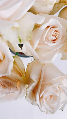 beautiful bouquet of pale pink roses