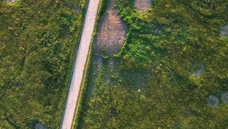 Antena-De-Arriba-Hacia-Abajo-De-Un-Campo-Verde-Con-Un-Camino-De-Grava-En-Estonia-Durante-El-Verano-Al-Atardecer