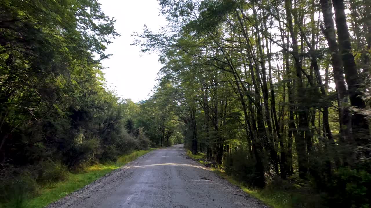 Veicolo che percorre una strada forestale sterrata, luce solare screziata, vegetazione lussureggiante, movimento costante in avanti della telecamera