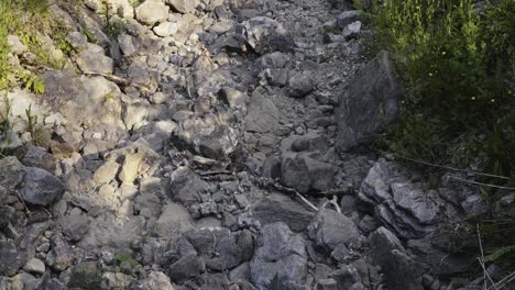 un lecho rocoso seco de un arroyo de montaña