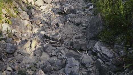 a dry rocky bed of a mountain stream