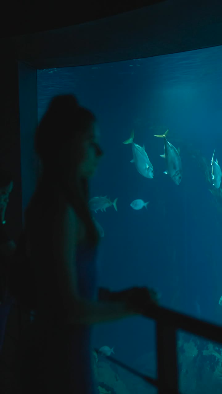 Person observing fish in a large aquarium