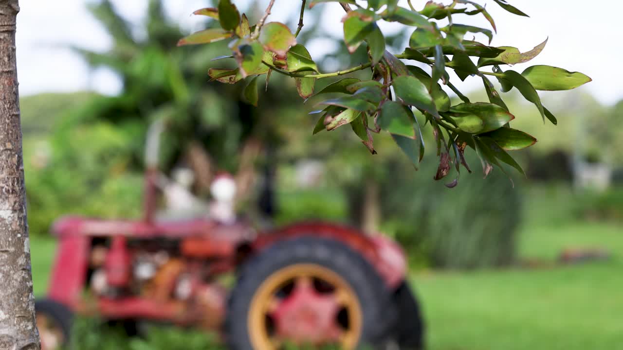 A vintage tractor moves through a vibrant farm, surrounded by greenery and trees, under natural daylight