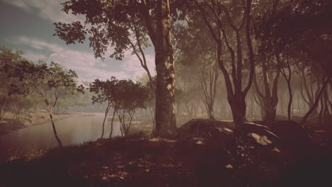 Mágico-Paisaje-Oscuro-Del-Bosque-Otoñal-Con-Rayos-De-Luz-Cálida