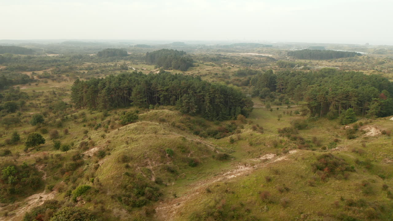vista aérea de la arboleda con colinas verdes dentro del parque nacional zuid-kennemerland en holanda del norte, países bajos