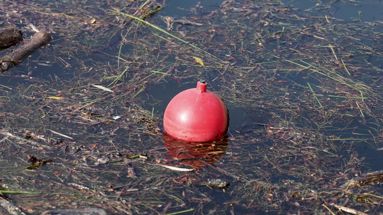 A red buoy gently floats on a calm lake in Queenstown, New Zealand, surrounded by aquatic plants under natural daylight