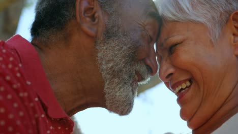 close-up of active african american senior couple standing face to face in the garden of nursing hom