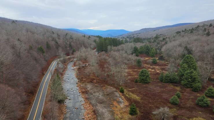 una strada forestale attraverso una valle di montagna lungo un ruscello con paludi e foreste e montagne in lontananza