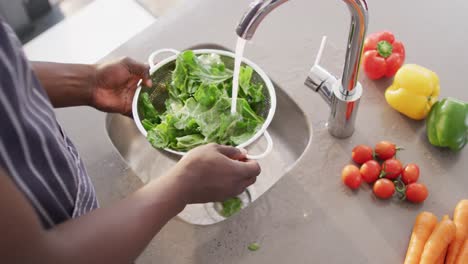 Video-of-hands-of-asian-woman-washing-vegetables