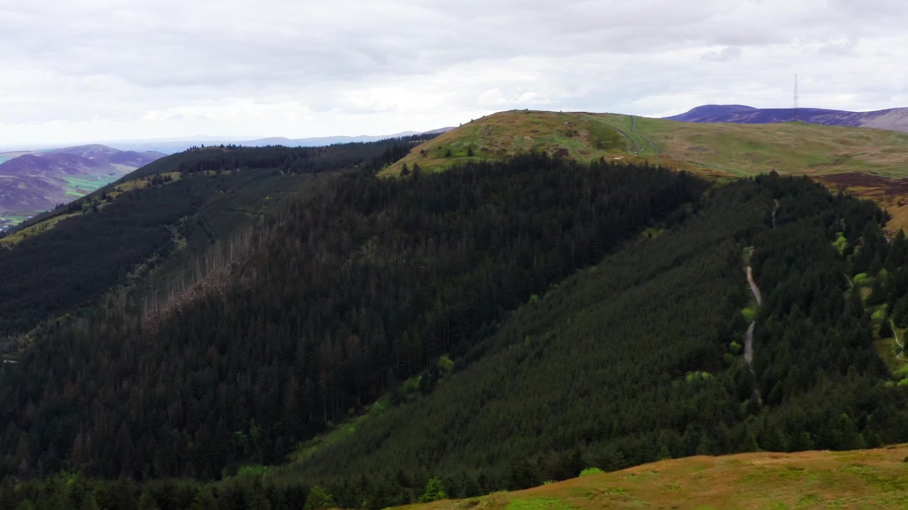 Aerial View of Rostrevor Oakwood Forest and Mountain Trails Beneath Cloudy Irish Skies