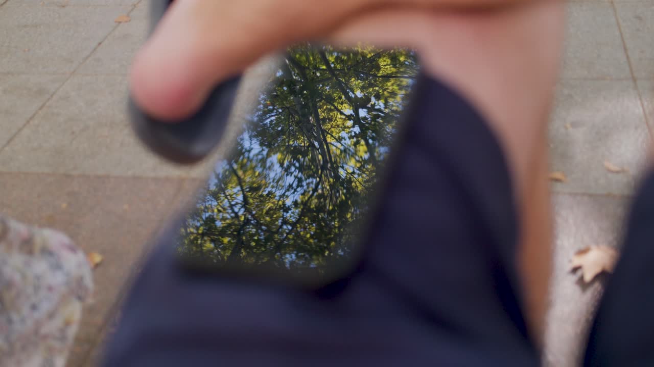 Reflection of vibrant green leaves and blue sky
