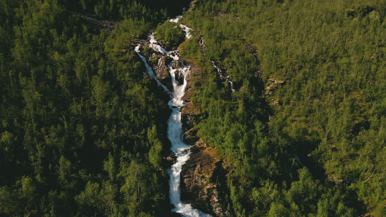 antena del río en colinas empinadas que fluyen entre frondosos árboles en finnmark, noruega