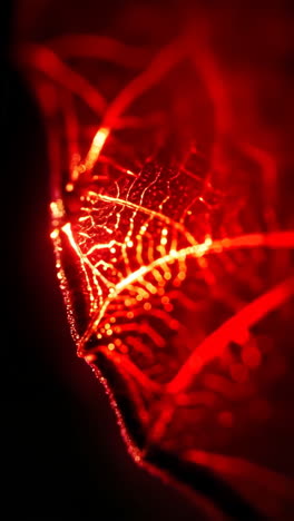 glowing red abstract leaf veins