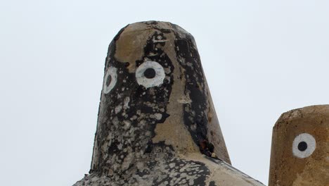 los artistas callejeros dieron ojos a los tetrápodos y los convirtieron en caras en sylt, alemania.