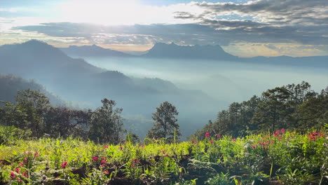 Eingebettet-Im-Wunderschönen-Bezirk-Wiang-Haeng-In-Chiang-Mai-Bietet-Akipu-Camping-Einen-Idyllischen-Rückzugsort-Für-Naturliebhaber,-Die-Einen-Ruhigen-Zufluchtsort-Suchen