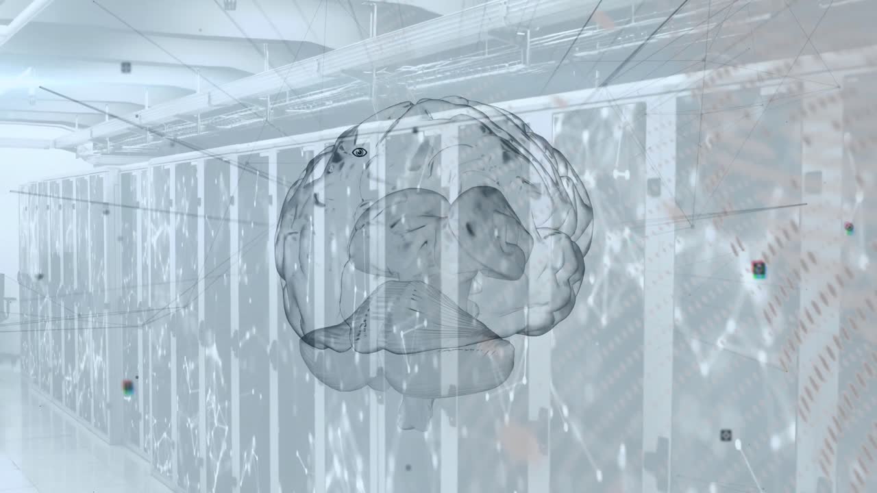 연결 네트워크와 브레인 오버 서버  ⁇ 의 애니메이션