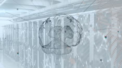 animación de la red de conexiones y cerebro sobre la sala de servidores
