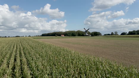 fast dolly over wheatfield with windmill in the background