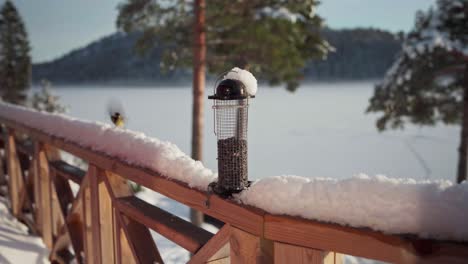 Feeder-Auf-Einer-Holzterrasse-Eines-Häuschens-Mit-Fliegenden-Vögeln-Und-Futter-Im-Winter-In-Trondheim,-Norwegen