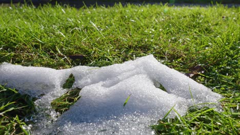 macro shot of shiny melting snow particles with green grass and leaves