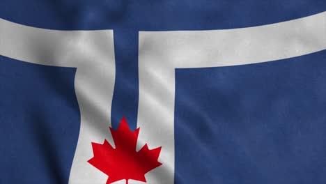 flag of toronto waving in wind. realistic toronto flag background