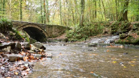 corriente de bosque de otoño que fluye bajo el follaje del desierto del puente de arco de piedra