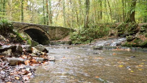 flowing autumn woodland forest stream under stone arch bridge wilderness foliage