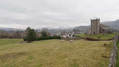 St-Michael-and-All-Angels-Church-in-Hawkshead,-showing-fields-and-grazing-sheep-Cumbria,-UK