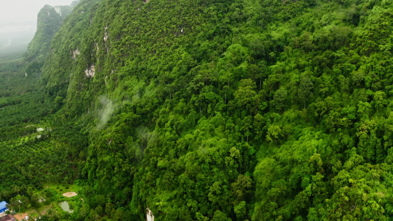 Green Mountain Landscape with Tropical Forest and Plantation