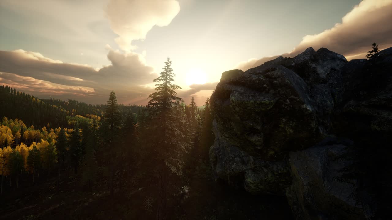 летний лес в горном ландшафте