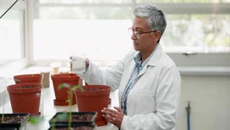 Agua,-Plantas-Y-Una-Mujer-En-La-Ciencia-Para-La-Ecología