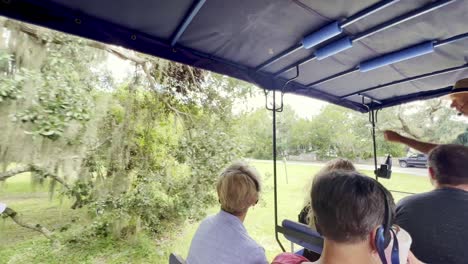 tourists on horse drawn carriage tour beaufort sc, south carolina