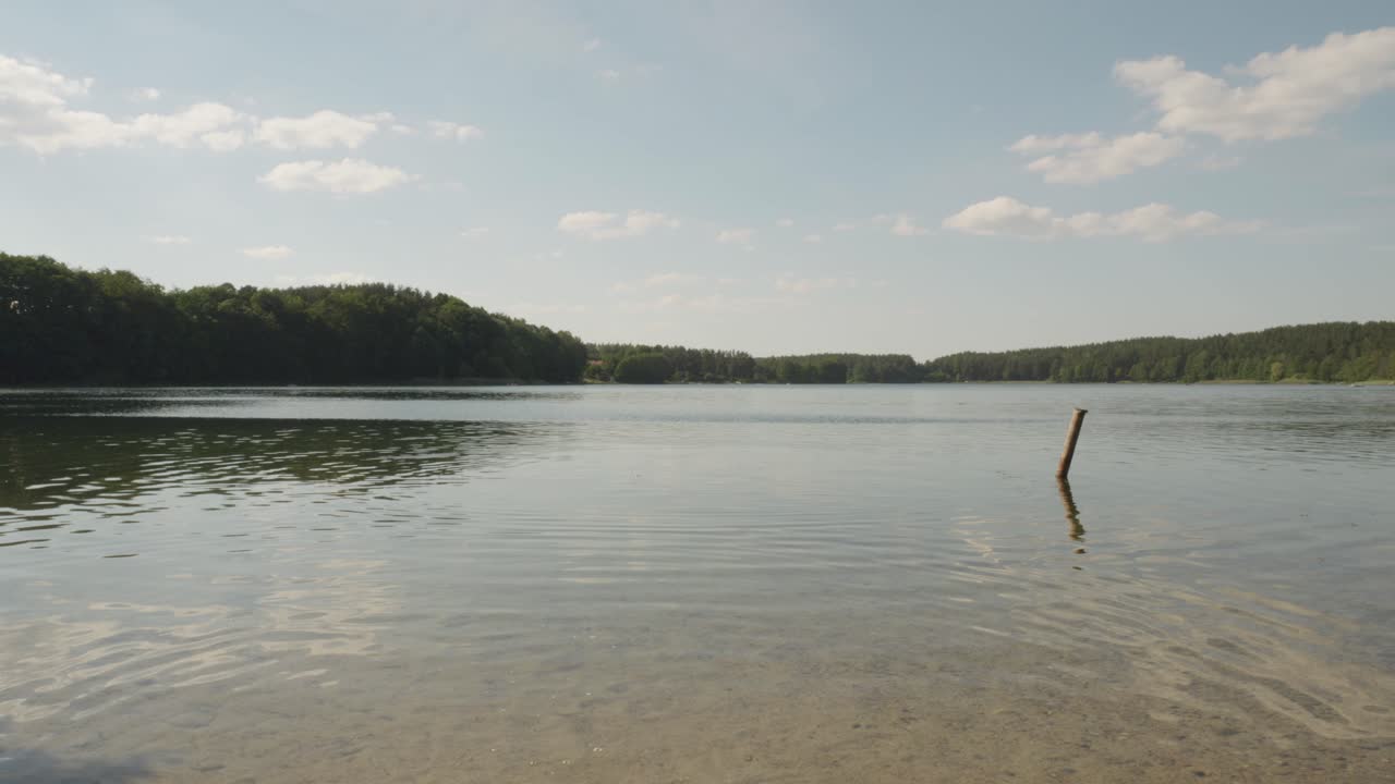 lago tranquilo con un fondo de árboles frondosos en jezioro glebokie, polonia