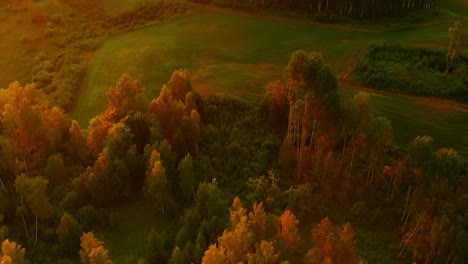 Bosque-Durante-La-Puesta-De-Sol,-Espectacular-Inclinación-Hacia-Arriba,-Imágenes-Aéreas