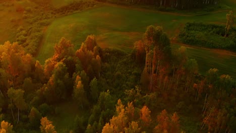 bosque durante la puesta de sol, espectacular inclinación hacia arriba, imágenes aéreas