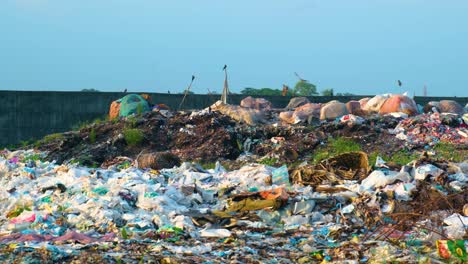 vertedero con montones de basura y pájaros volando