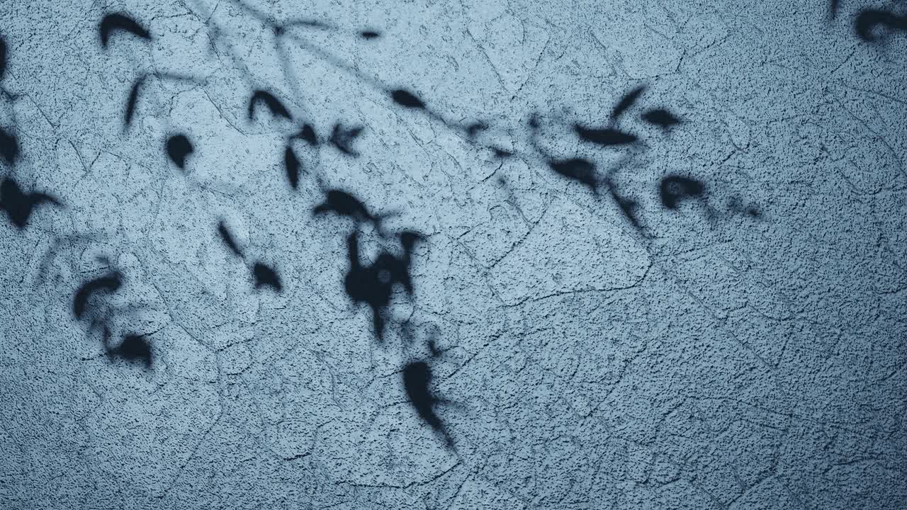 Shadows of Nature on Blue Textured Surface vertical