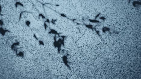 sombras de la naturaleza en la superficie de textura azul vertical