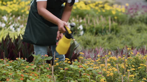 jardinero que trabaja en interiores