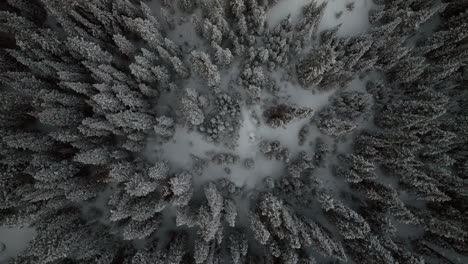 berthoud berthod jones pass aerial drone winter wonderland park colorado snowy blizzard deep powder ski snowboarder backcountry rocky mountains national forest birdseye view upward circle left motion