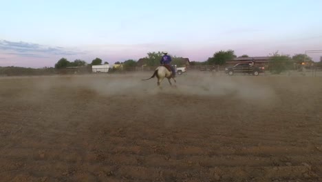 iconic american cowboy rein trains his horse to turn in tight circles raising a dust cloud, queen creek, arizona