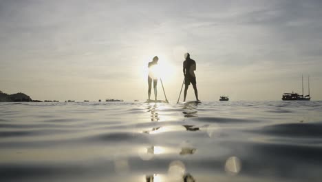 couple stand-up paddleboarding at sunset