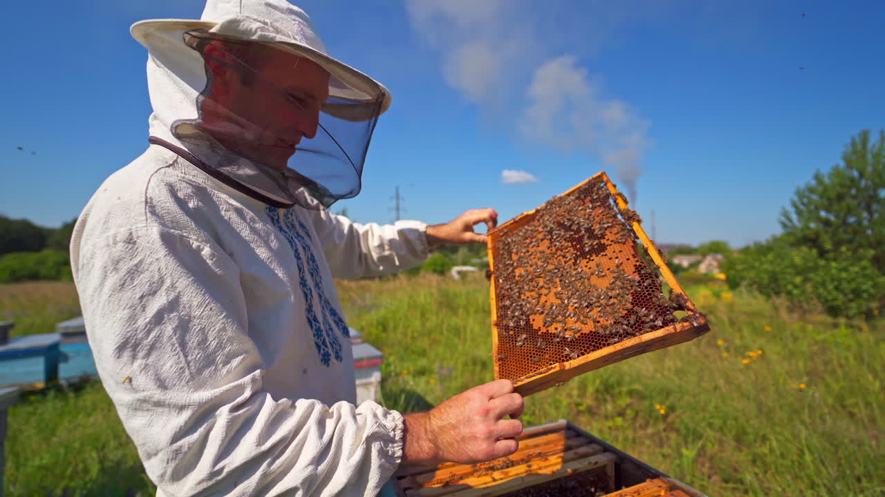 Farmer working on apiary. Beekeeper looking after bees on village background. Smiling man in protective hat inspecting bees on a beehive.