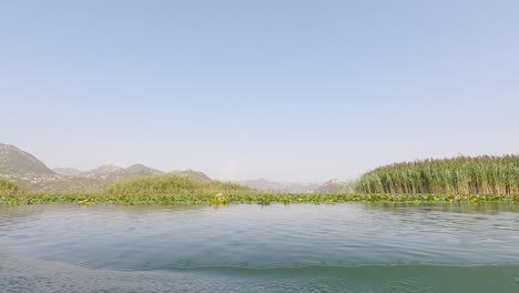 crucero en barco por el lago skadar en montenegro