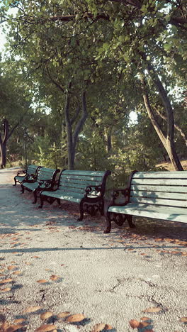 row of benches in a park