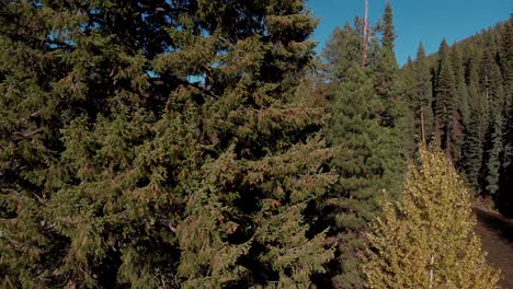 4K-Drone-side-scroll-of-Idaho-Winding-River,-trees-and-Sawtooth-Mountains