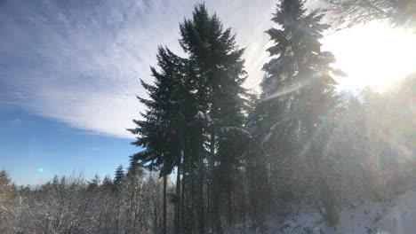 Die-Natur-In-Eine-Schneedecke-Gehüllt