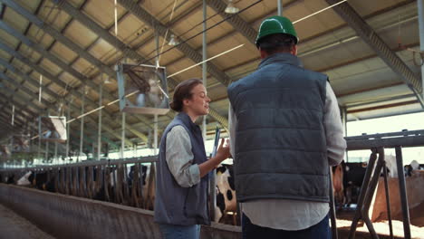 smiling livestock workers talking in cowshed. agriculture team using tablet.