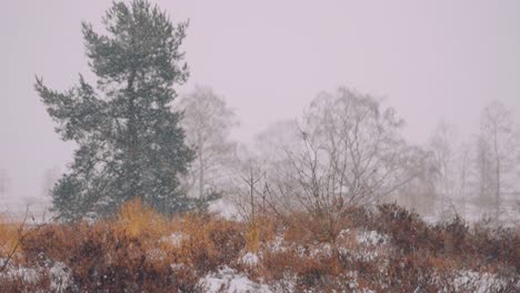 Vista-Panorámica-Del-Paisaje-Invernal-Con-árboles,-Caída-De-Nieve,-Cámara-Lenta